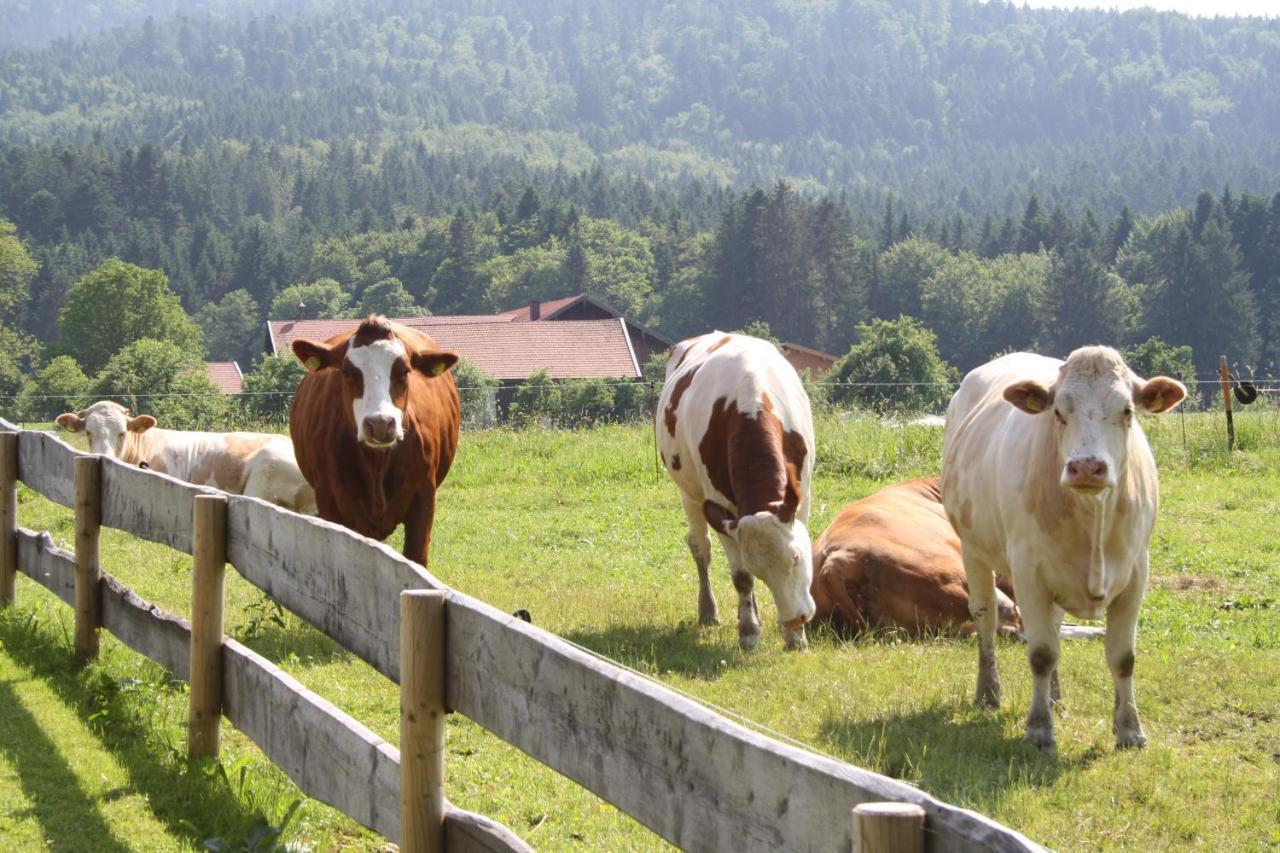 Gaestehaus Herbstbauernhof Siegsdorf Exteriör bild